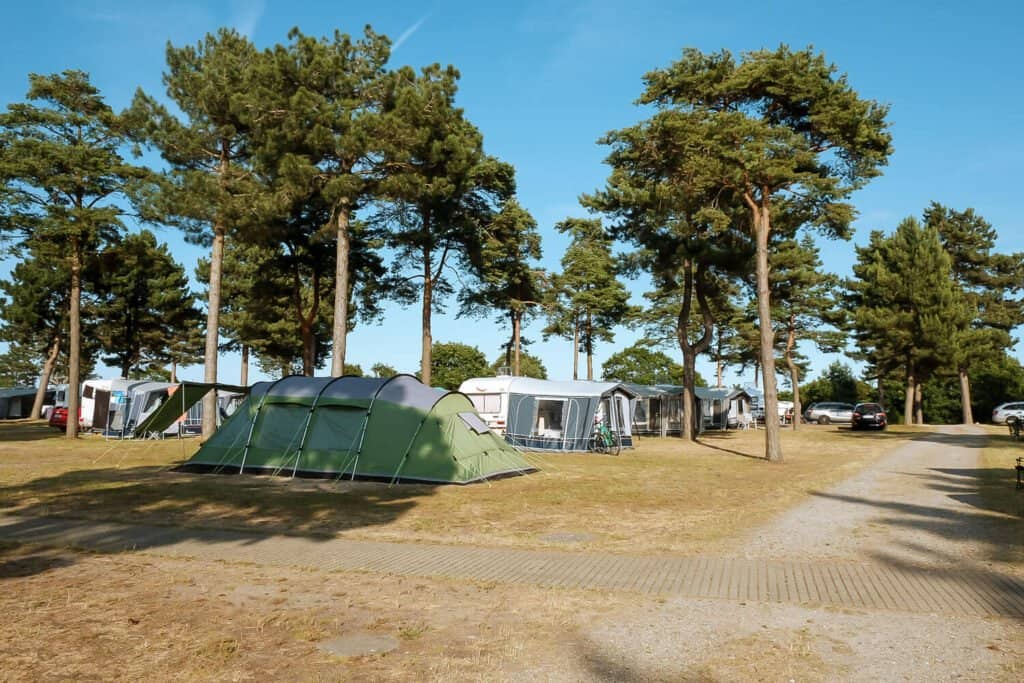 Feddet Strand Resort billede 2