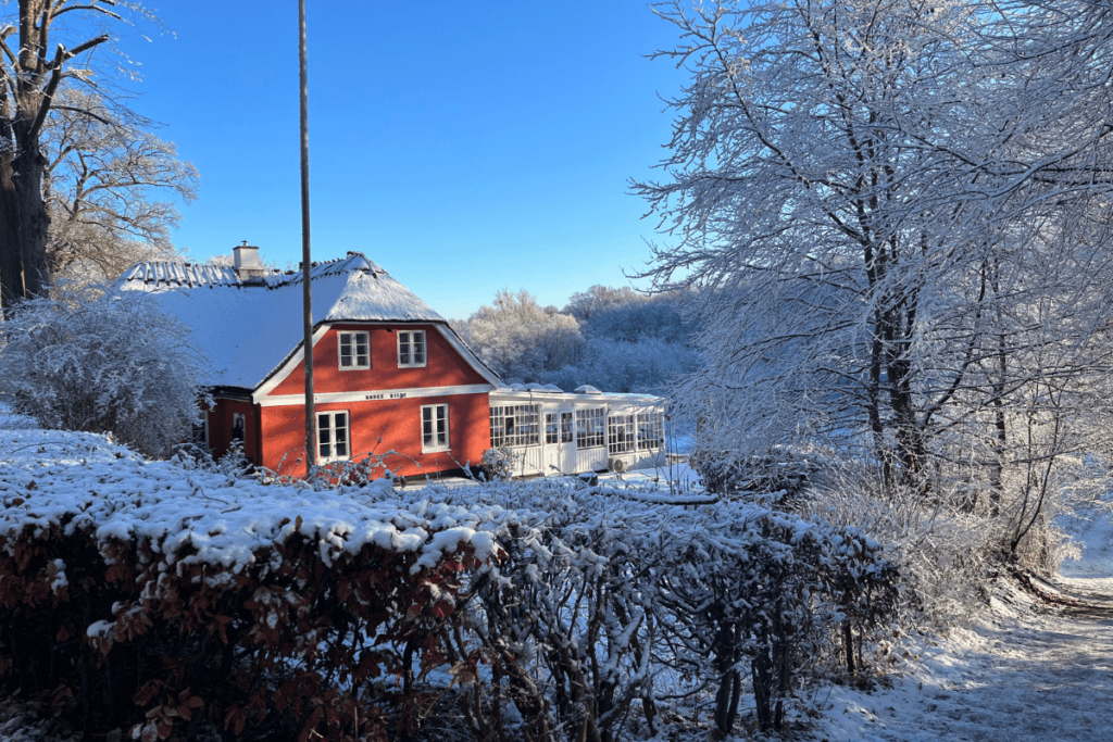Kongekilden billede 1